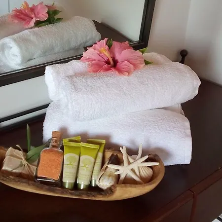 Baronessa's 가이오스