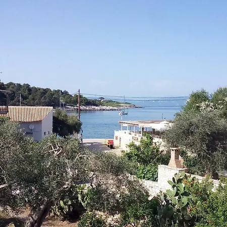 Baronessa's 가이오스