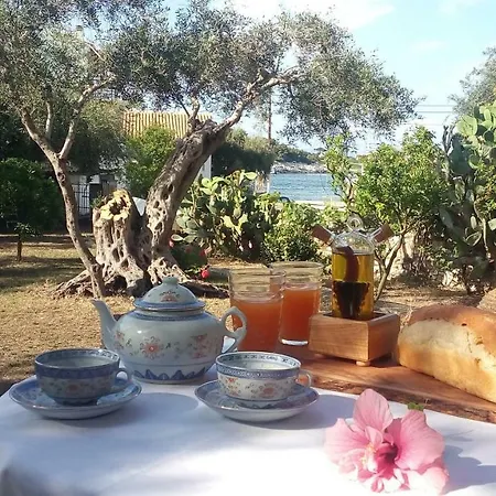 아파트 Baronessa's