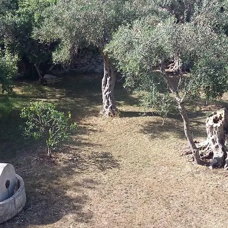 Baronessa's Apartment